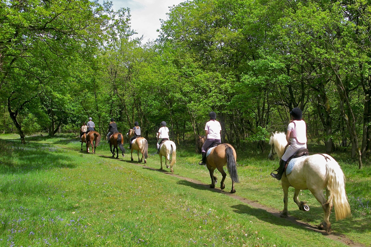 Passeggiate a cavallo - Sport