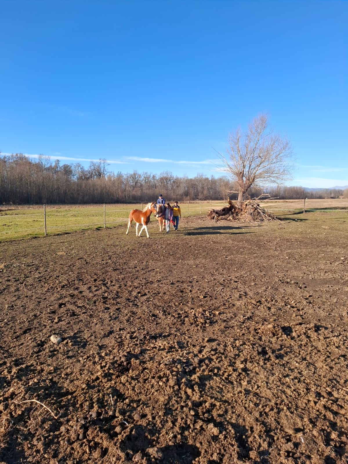 Passeggiate a cavallo per bimbi e adulti in provincia di Novara - Fattoria didattica La Biandrina