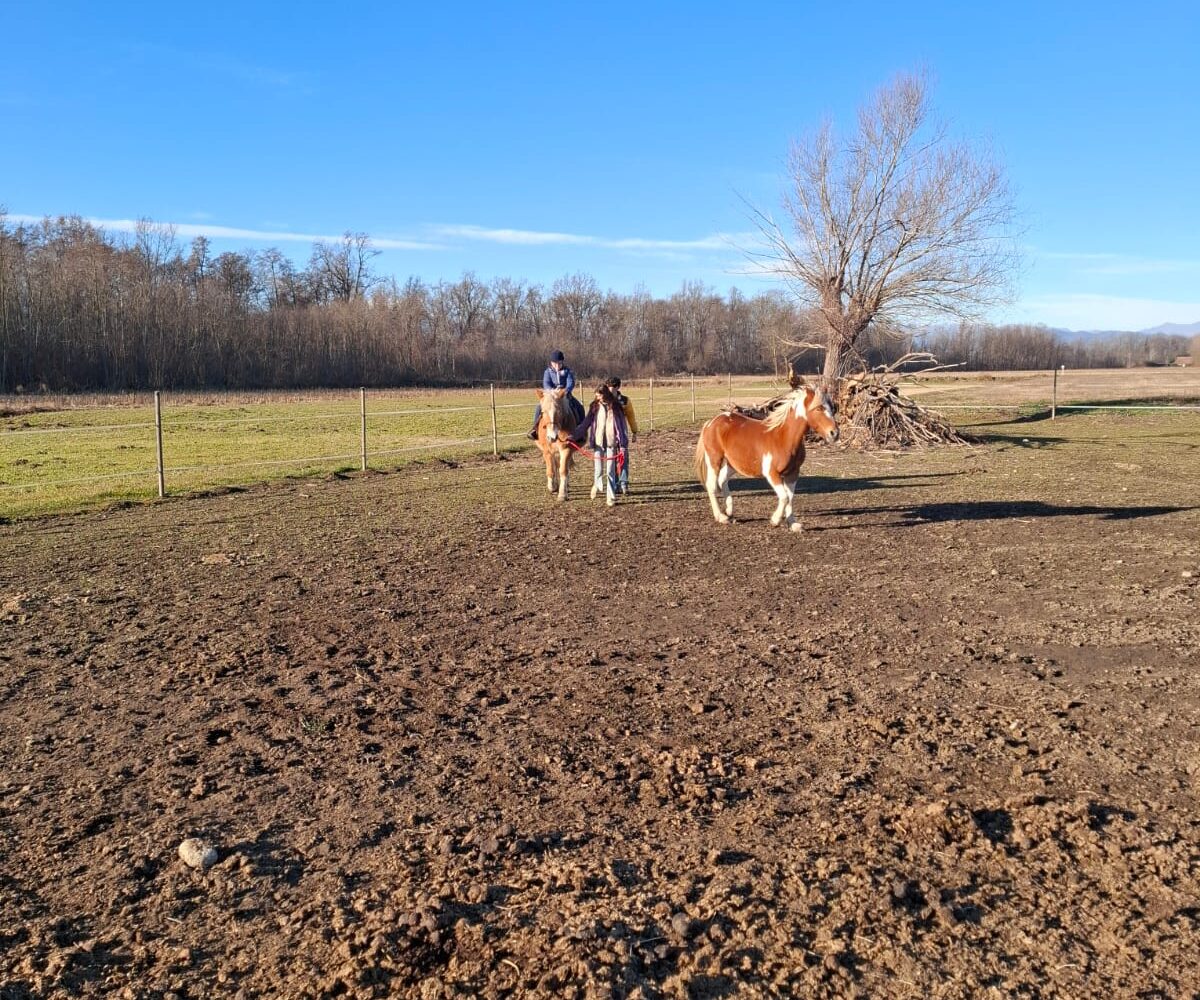 Passeggiate a cavallo per i bimbi - Fattoria didattica La Biandrina