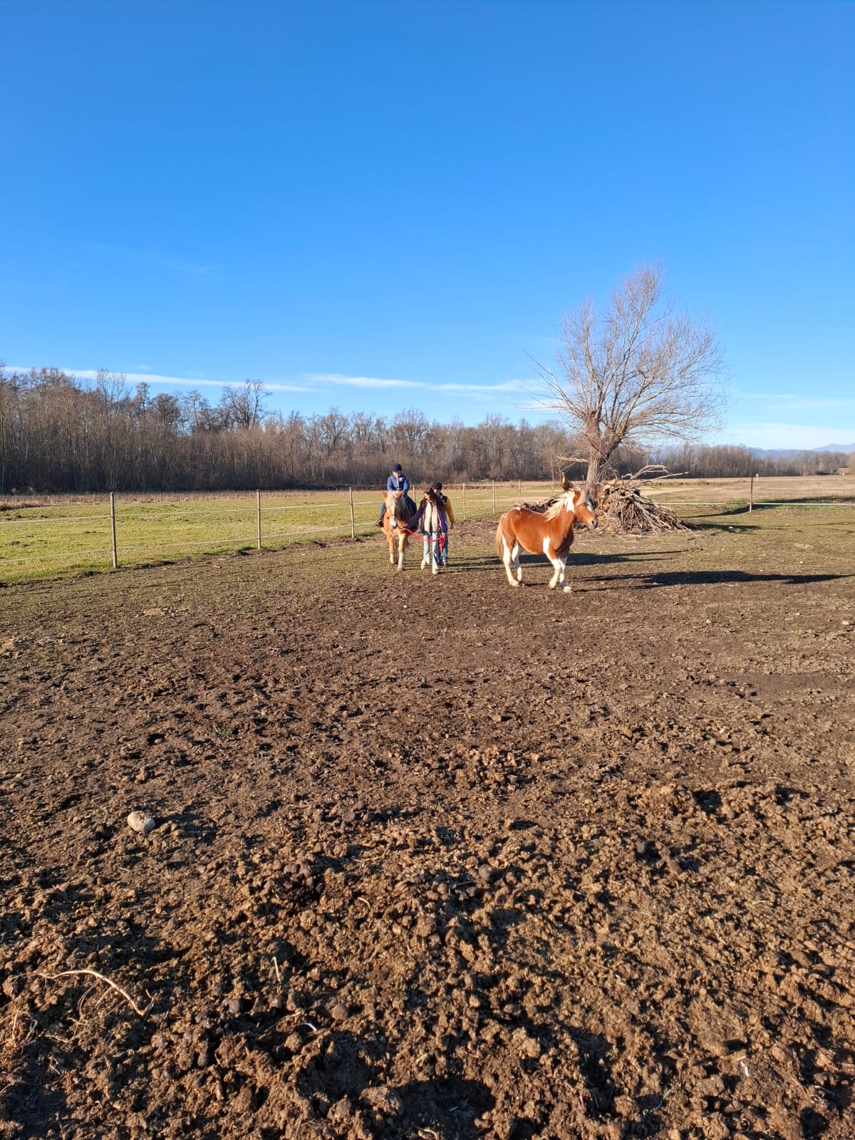 Passeggiate a cavallo per bimbi e adulti in provincia di Novara - Fattoria didattica La Biandrina