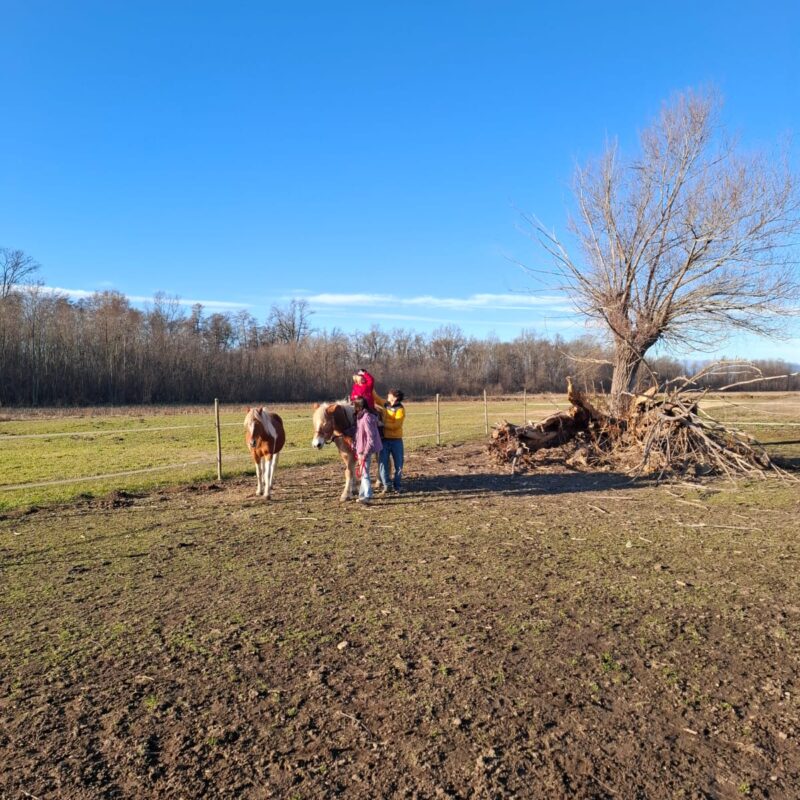 Passeggiate a cavallo per bimbi e adulti in provincia di Novara - Fattoria didattica La Biandrina