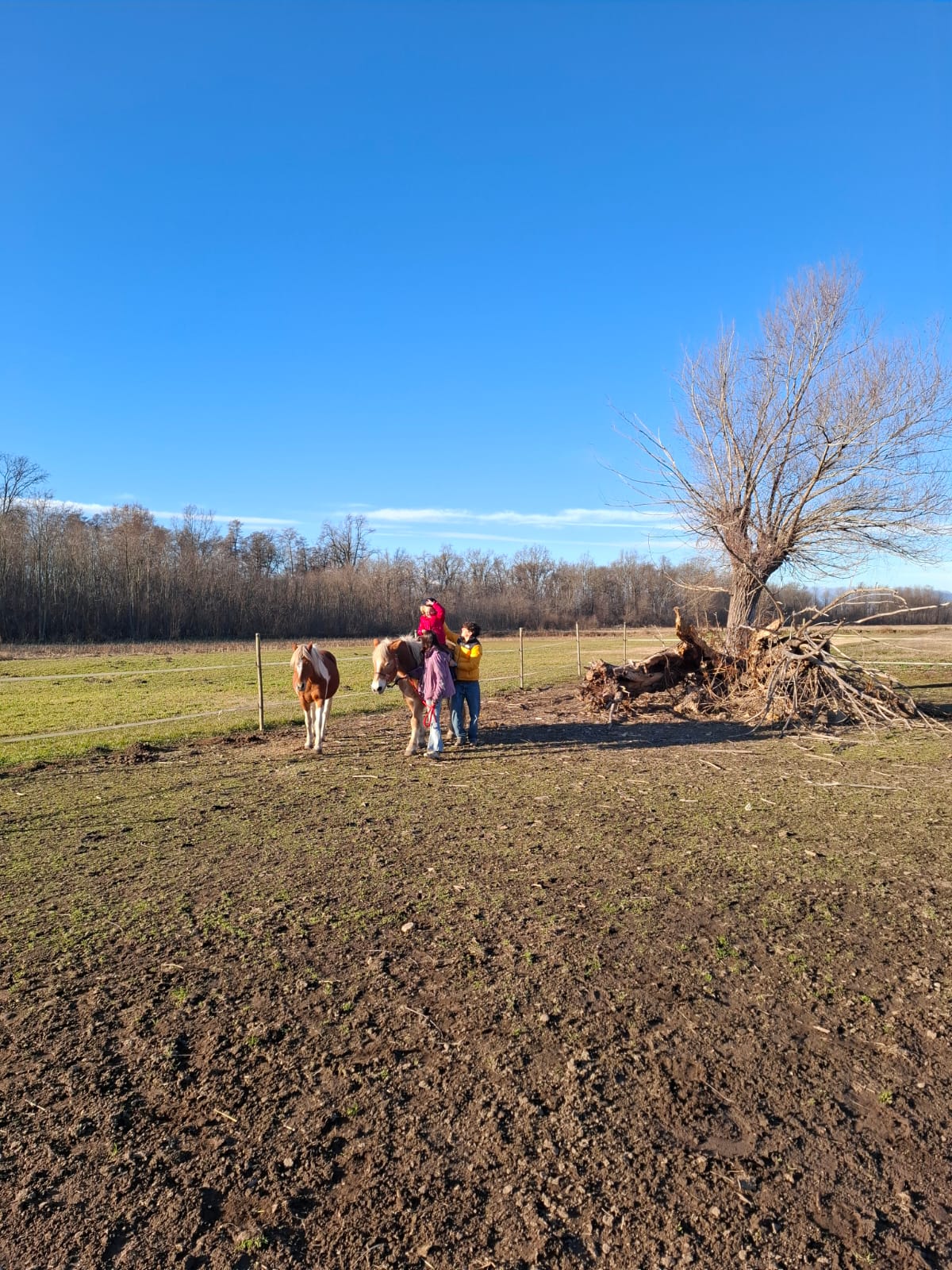 Passeggiate a cavallo per bimbi e adulti in provincia di Novara - Fattoria didattica La Biandrina